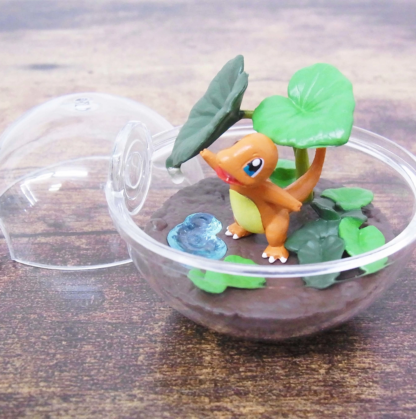 ポケットモンスター テラリウムコレクション3「1：ヒトカゲ」