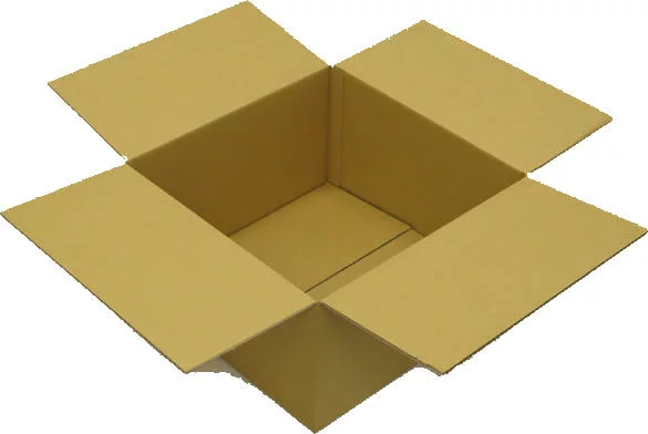 特大：160サイズ